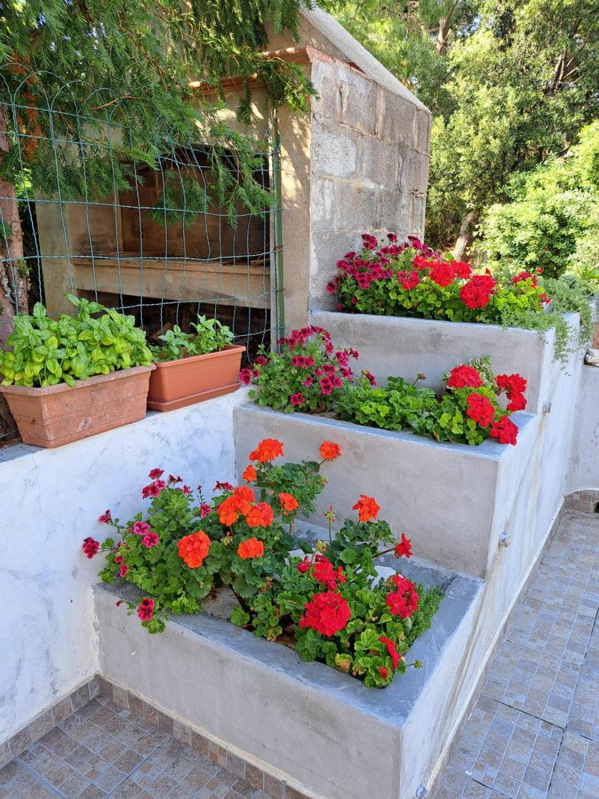Domus De Mare Apartment Cala Gonone Bagian luar foto